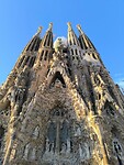 IMG_20241108_085944