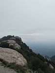 IMG_20241109_154804