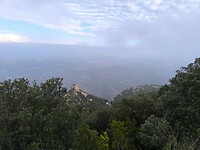 IMG_20241109_154321