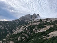 IMG_20241109_152625