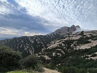 IMG_20241109_152632