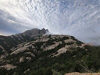 IMG_20241109_152641