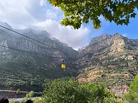 IMG_20241109_124419