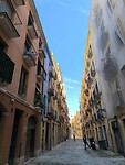 IMG_20241110_141214
