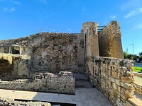 IMG_20241110_140525