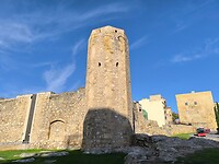 IMG_20241110_135640