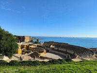 IMG_20241110_133955
