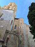 IMG_20241110_142422