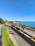IMG_20241110_133028