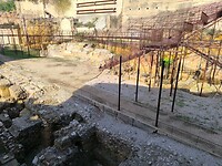 IMG_20241110_131252