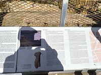 IMG_20241110_131404