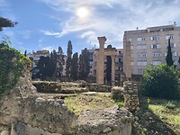IMG_20241110_125837