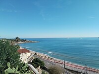 IMG_20241110_133614