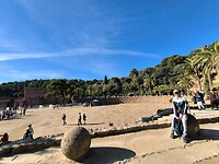 IMG_20241111_104337