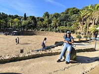 IMG_20241111_104408_1