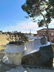 IMG_20241111_104558