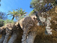 IMG_20241111_104747