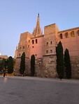 IMG_20241111_175637