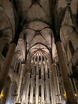IMG_20241111_182823