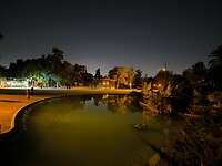 IMG_20241111_192208