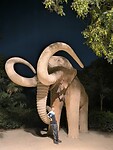 IMG_20241111_192523