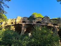 IMG_20241111_094343