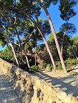 IMG_20241111_094531
