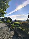 IMG_20241111_095939