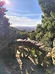 IMG_20241111_095046