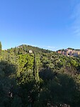 IMG_20241111_101106
