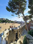 IMG_20241111_101736