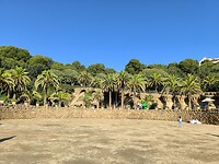 IMG_20241111_101844