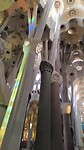 VID_20241108_090151