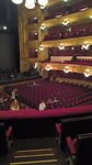 VID_20241108_194606