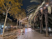 IMG_20241112_180708