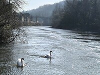IMG_20250308_100416