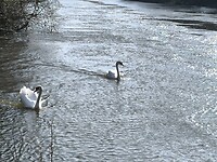 IMG_20250308_100422