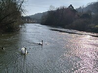 IMG_20250308_100425