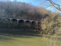 IMG_20250308_100801
