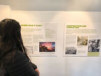 IMG_20250308_110619