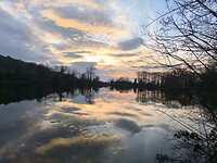 IMG_20250308_174355