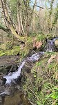VID_20250310_110611