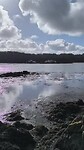 VID_20250311_102650