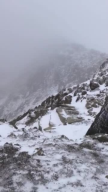 VID_20250312_115919