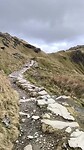 VID_20250312_134226