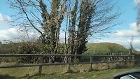 VID_20250313_152138