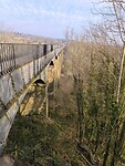 IMG_20250310_091910