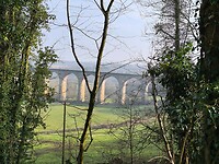 IMG_20250310_095032