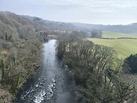 IMG_20250310_105026