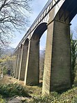IMG_20250310_105452